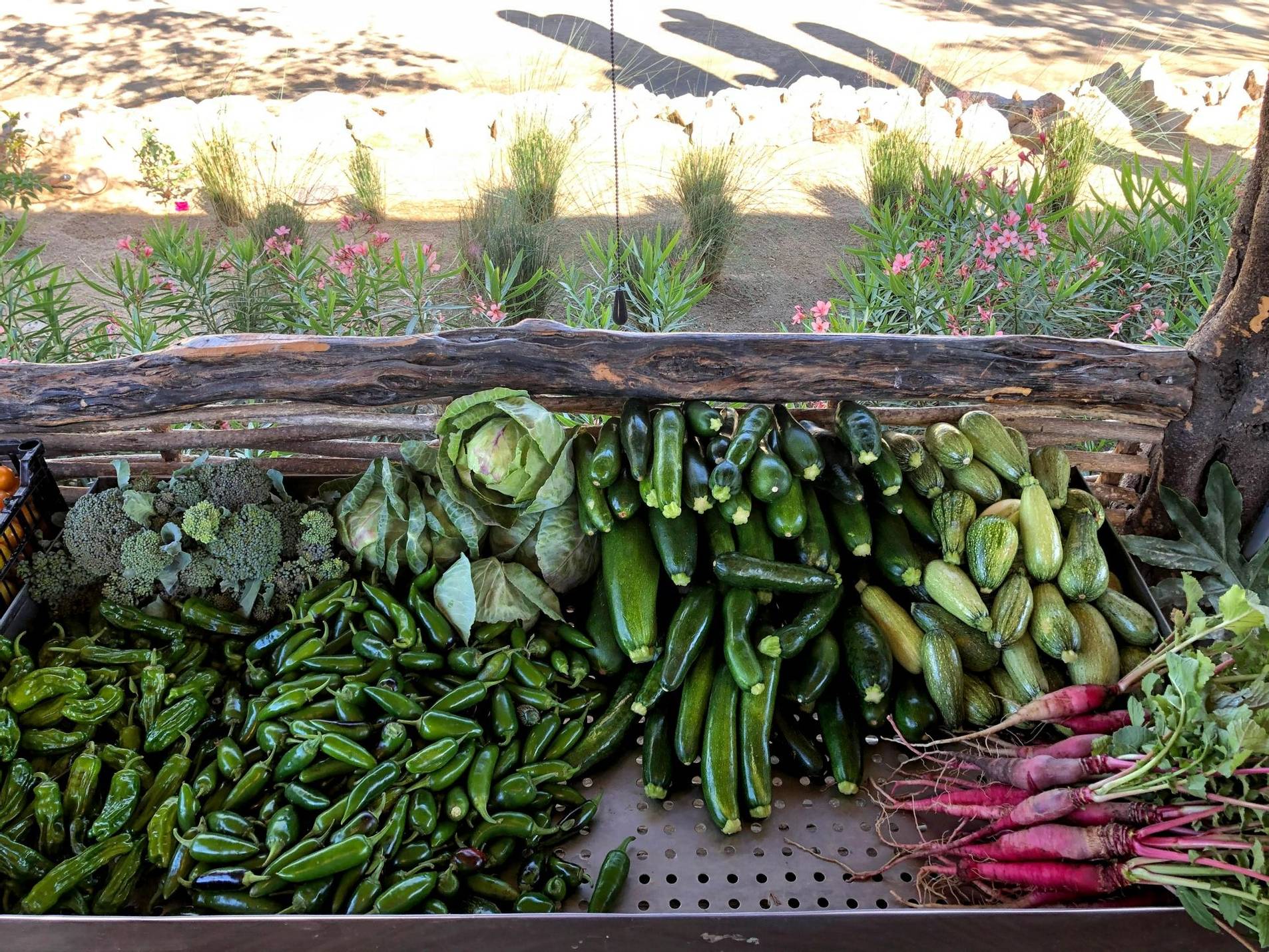 El Huerto Los Cabos farm